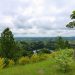 Kibale National Park