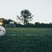 The Global Phenomenon: Unveiling the Origins and Popularity of Soccer, and Its Advertising Potential